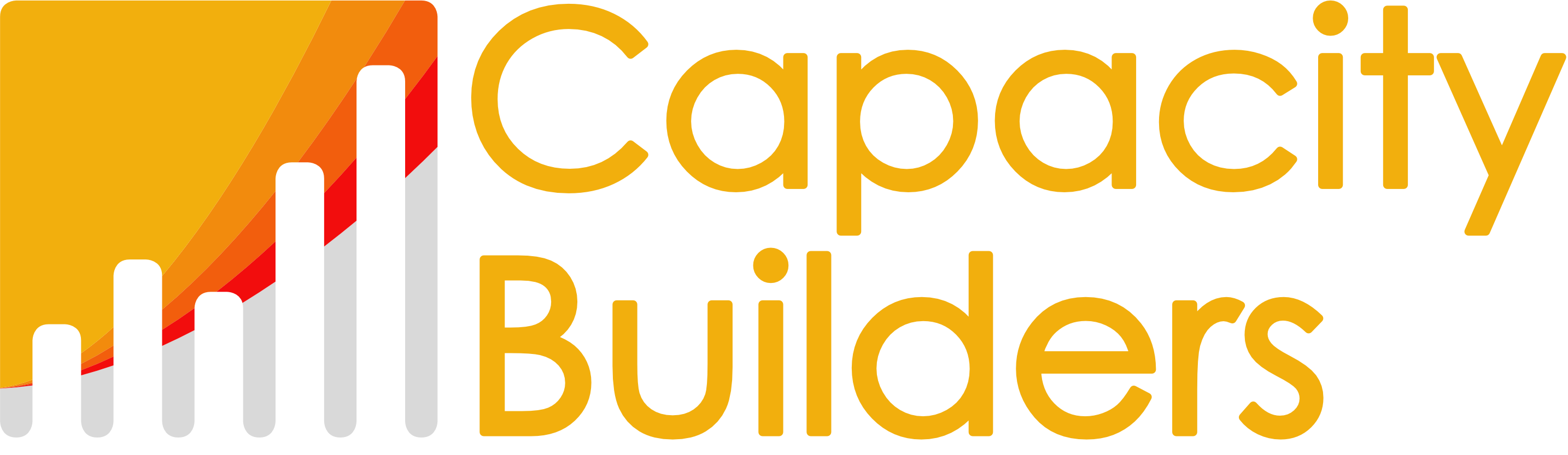 Capacity Builders, Inc.